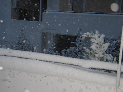 Χιονιάς 2008