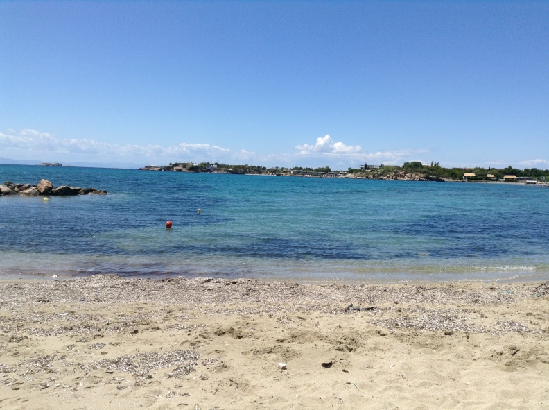 Λαγονήσι 2014 - IMG_0877.jpg IMG_0877.jpg